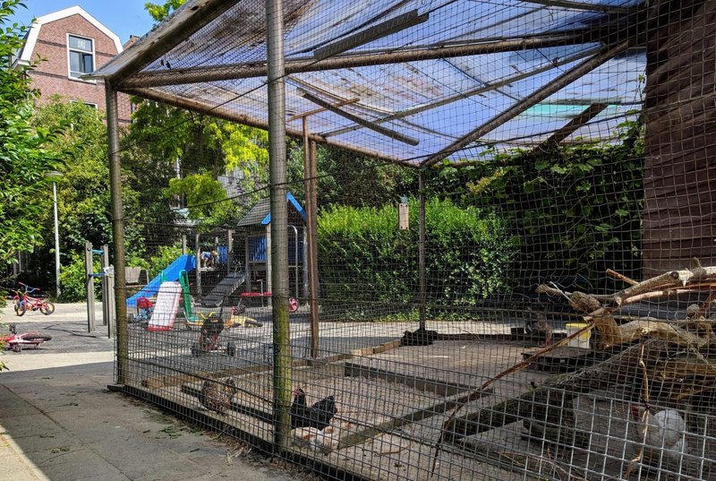 Ontdek het spannende avontuur van Chicken Road in online gokspelen in Nederland in Netherlands Ontdek het spannende avontuur van Chicken Road in online gokspelen in Nederland in Netherlands