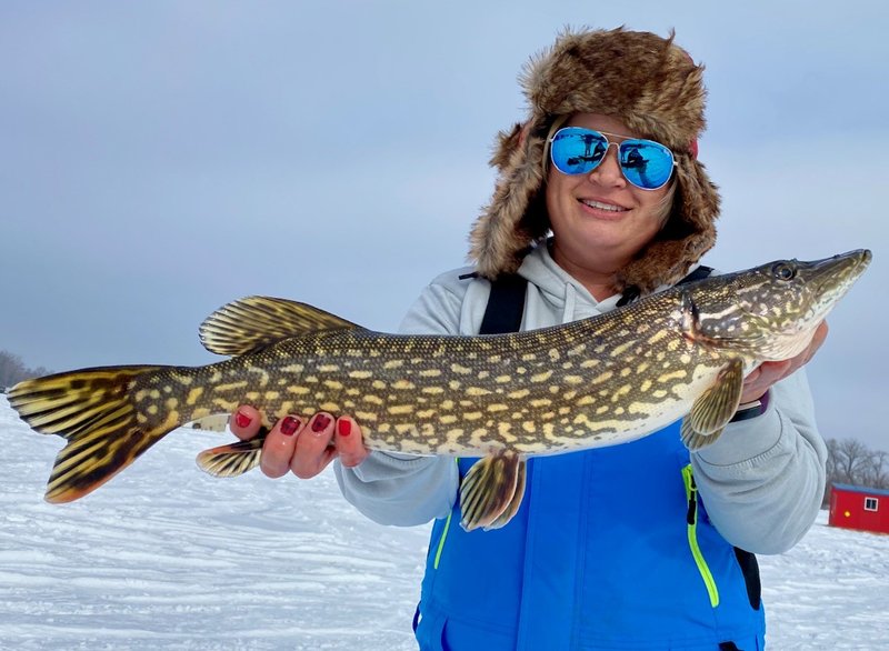 Experience the Thrill of Ice Fishing Live Casino Games in the UK in United Kigdom